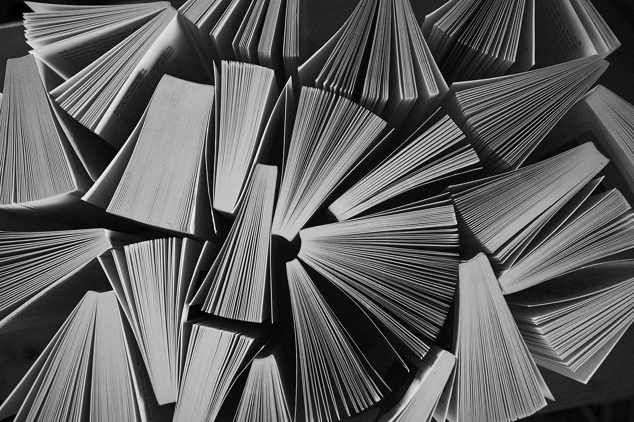 Library, wisdom, reading — 5 reasons - why you should train to be a web developer
