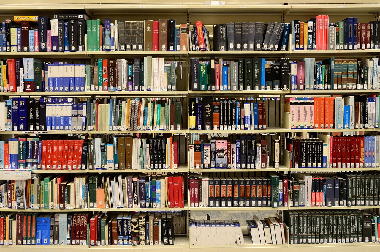 Library, books, bookshelves — Nurturing Development In A Private School Kindergarten For Boys
