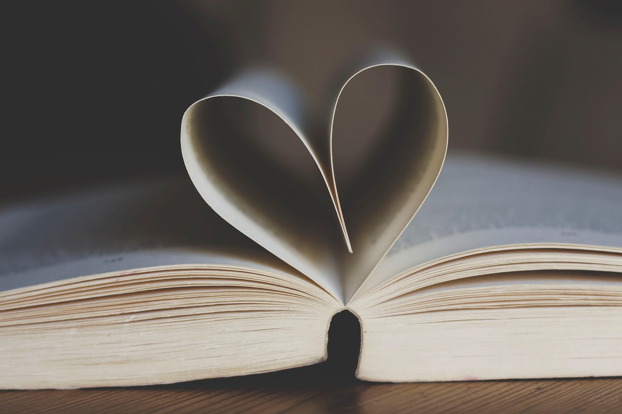 Book, love, heard — Preventing Crime in Educational Institutions