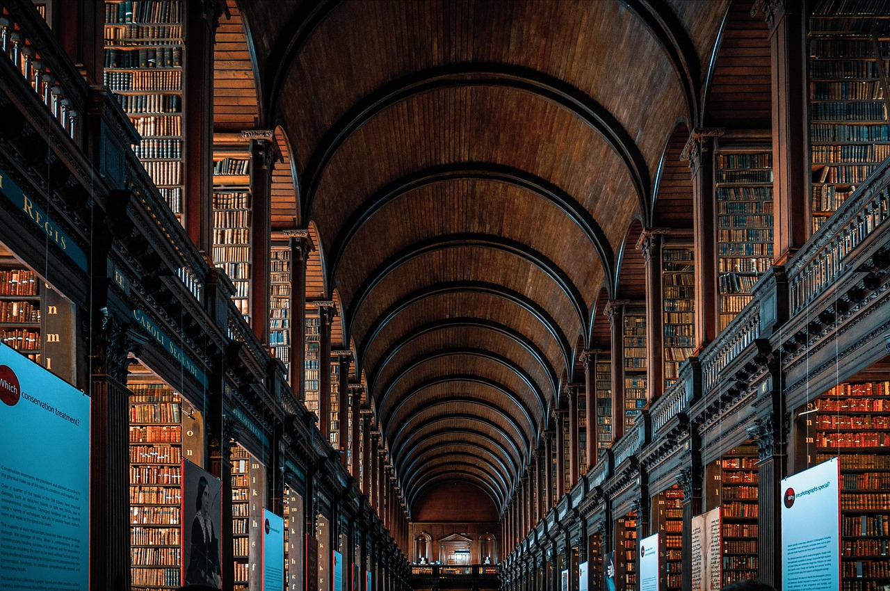 Library, books, bookshelves — Tips to write a strong essay